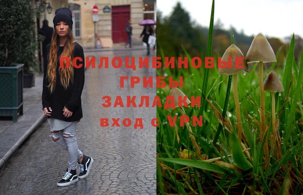 а пвп мука Билибино