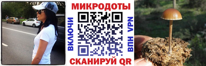 Галлюциногенные грибы Magic Shrooms  даркнет сайт  Выборг 